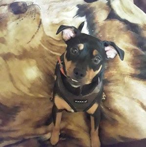 Meet your Posher, Gene